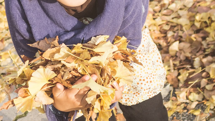 時候 11 挨拶 月末 の 時候の挨拶 11月（霜月：しもつき）