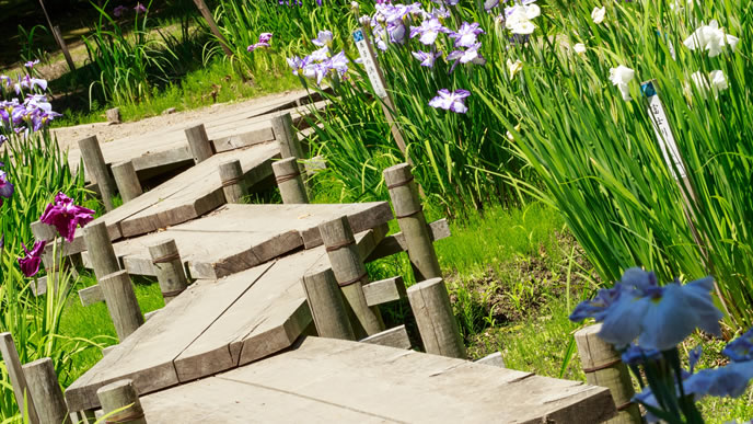 希望を示す一本道