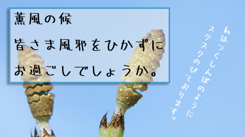 あいさつ 時候 の 【時候の挨拶】5月に使える挨拶言葉は？ 書き方や例文を紹介｜「マイナビウーマン」