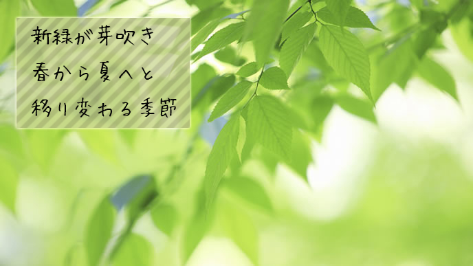 ５月の時候の挨拶で使える上旬 中旬 下旬の美しい言葉 退職assist