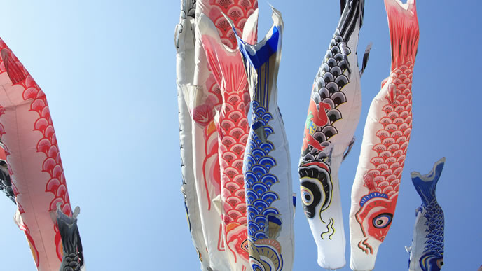 空高く舞い上がるこいのぼり