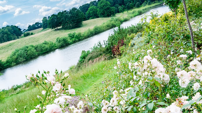 清々しい夏の風景