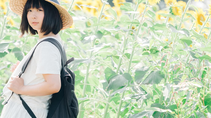 夏のひまわり畑を歩く女の子