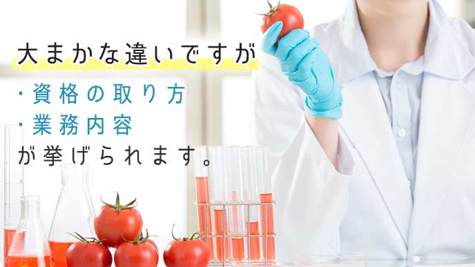 栄養士と管理栄養士の大まかな違い