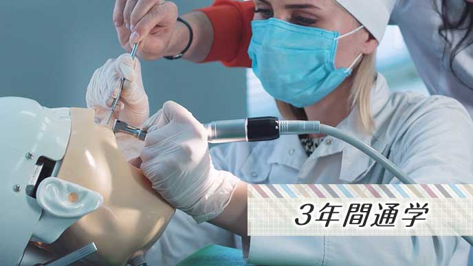 歯科治療の実習をする生徒