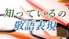「知っている」の敬語表現とビジネスシーンで使える例文 「知っている」の敬語表現とビジネスシーンで使える例文