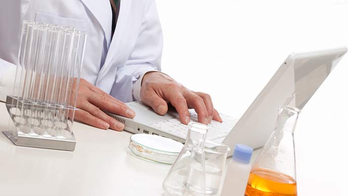 製薬会社で働く薬剤師