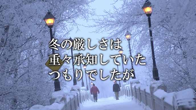 雪に覆われた北国の冬