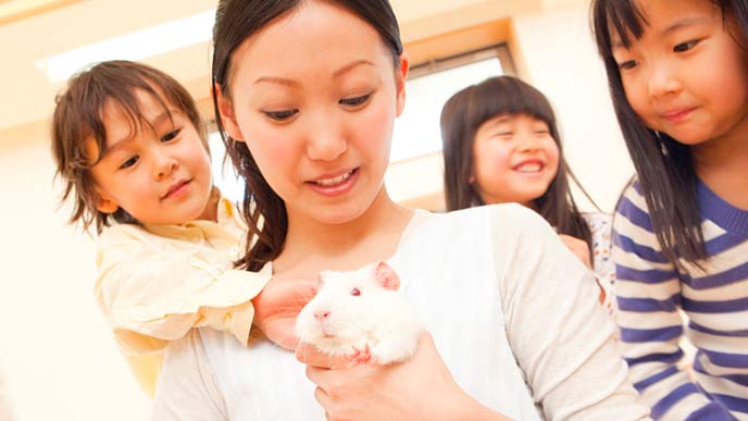 子供とモルモットを飼育する保育士