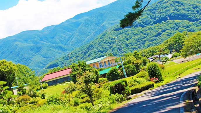 田舎の道路
