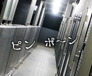 夜にチャイムが鳴る