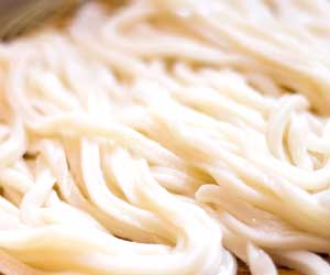 釜からあげたうどん
