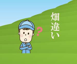 茶畑に立つバイト