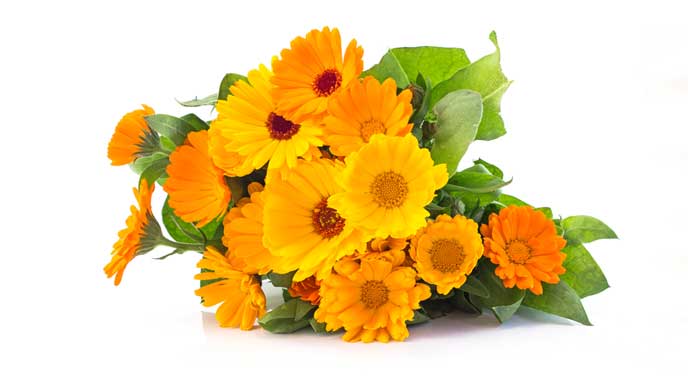 オレンジ系の花束