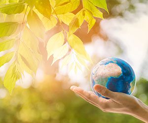 地球と葉っぱ