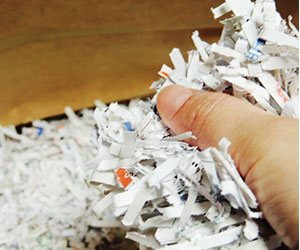 シュレッダーに処理された紙