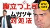 腹立つ上司に部下ができるムカつき対処法を15人に聞いてみた